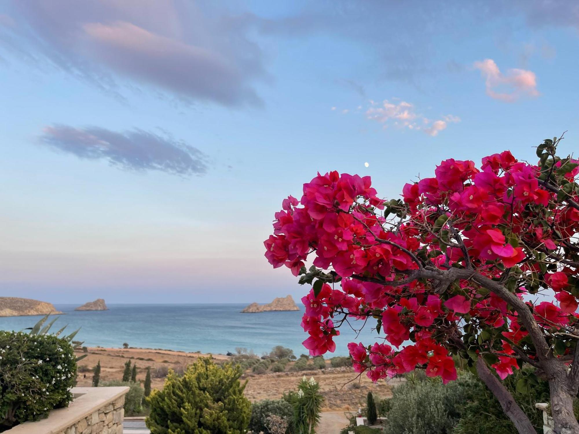 Natica Mare Villas Xerokampos (Crete) Exterior foto