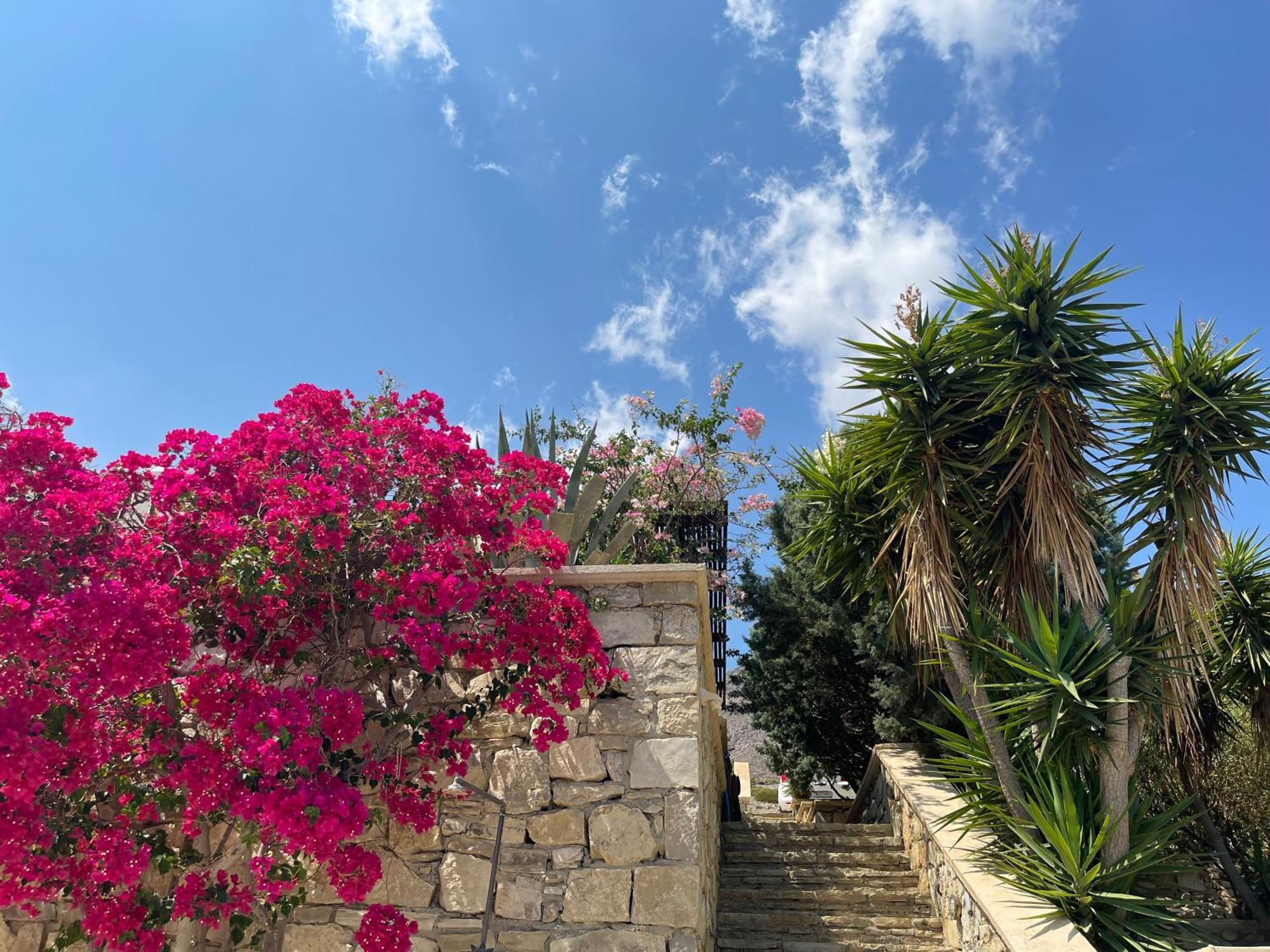 Natica Mare Villas Xerokampos (Crete) Exterior foto