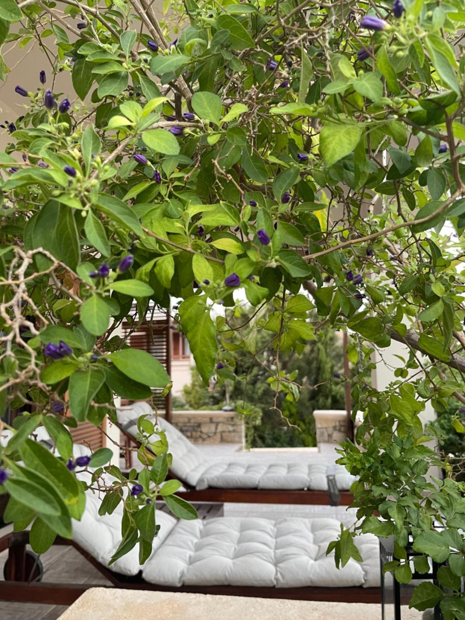 Natica Mare Villas Xerokampos (Crete) Exterior foto