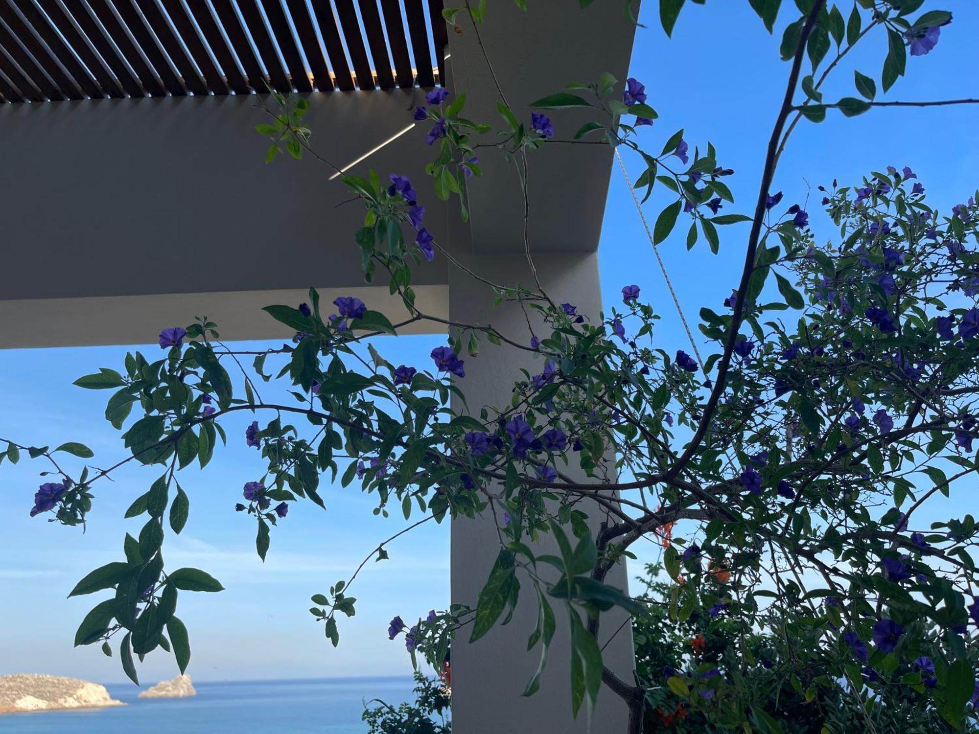 Natica Mare Villas Xerokampos (Crete) Exterior foto